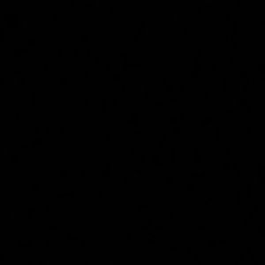 Meet your Posher, Nasima